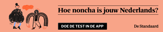 https://www.standaard.be/binnenland/doe-de-test-hoe-noncha-is-jouw-nederlands/98947369.html